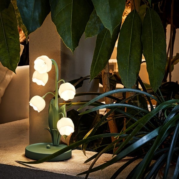 Orchideenlicht Chic